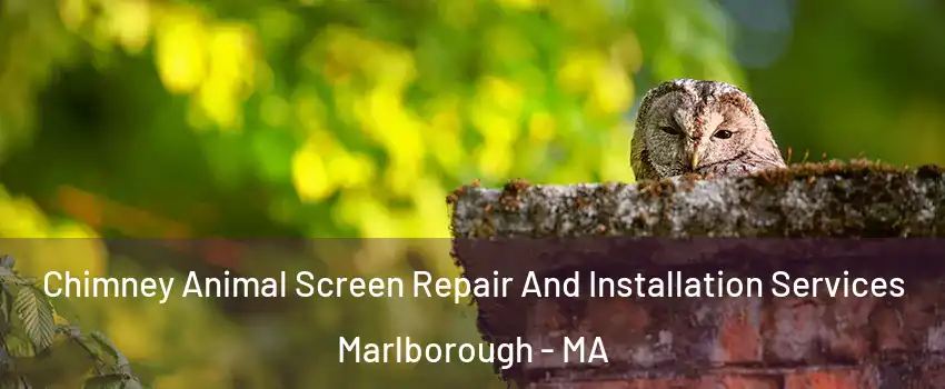  Chimney Animal Screen Repair And Installation Services Marlborough - MA