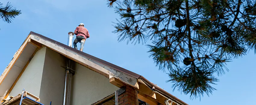 Birds Removal Contractors from Chimney in Marlborough, MA