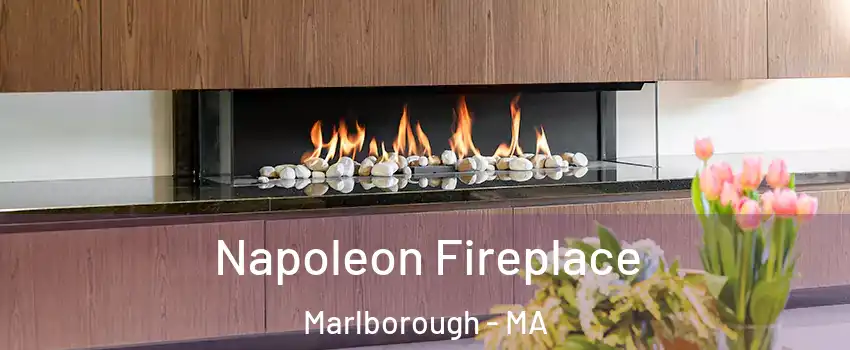  Napoleon Fireplace Marlborough - MA